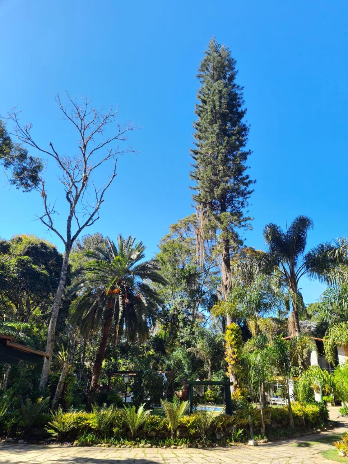 Pousada Villa Jambo Petrópolis エクステリア 写真
