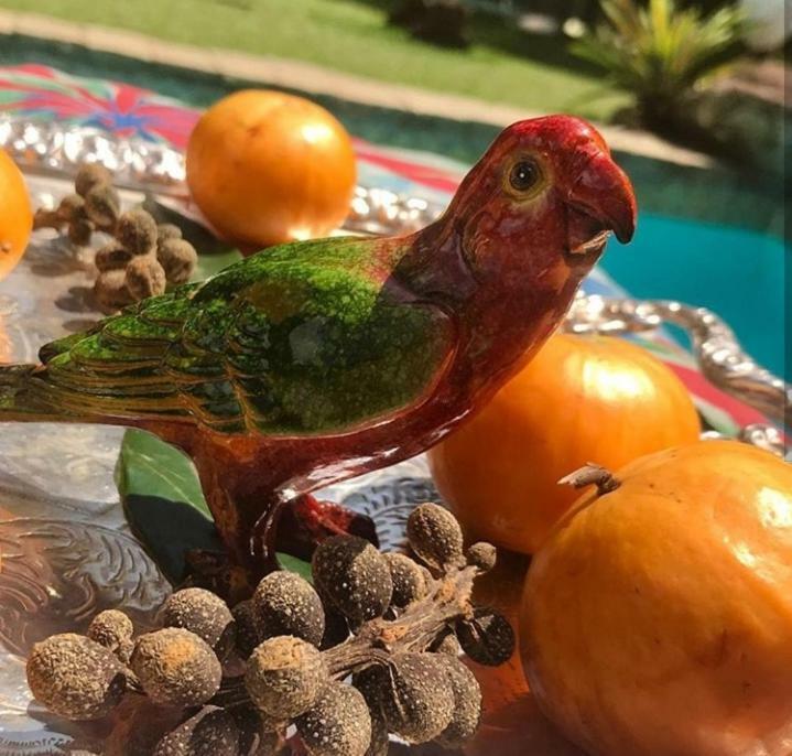 Pousada Villa Jambo Petrópolis エクステリア 写真